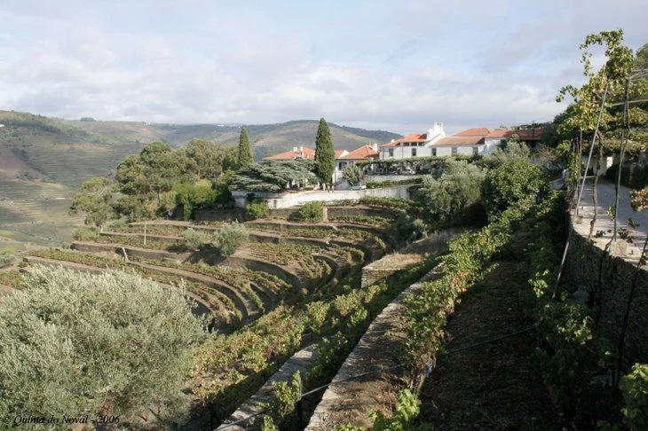 QuintadoNoval_300dpi_RGB-730x486-1