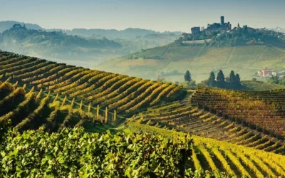 Masterclass i Barolo