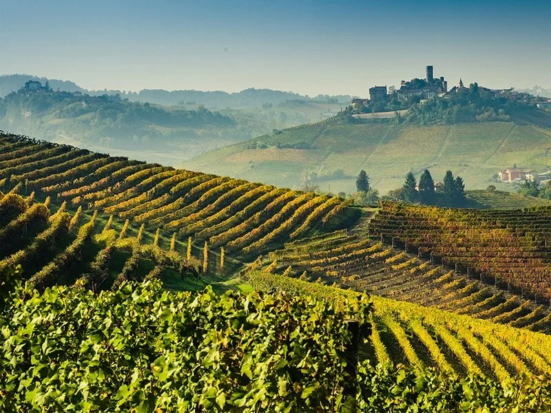 Masterclass i Barolo