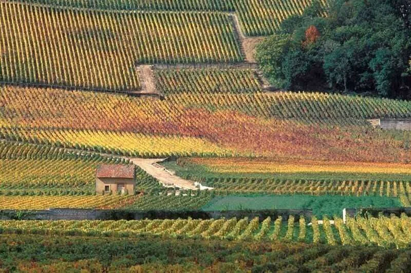 Masterclass i Bourgogne